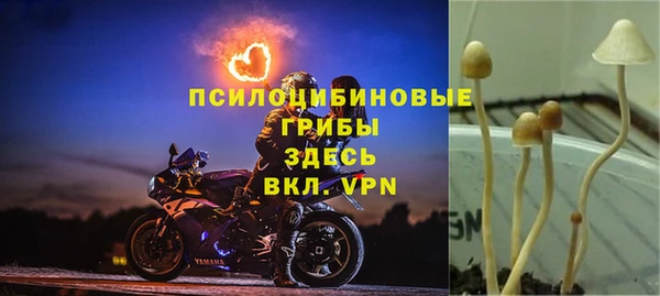 эйфоретик Богородск