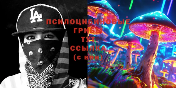 эйфоретик Богородск