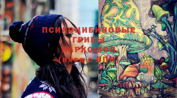 винт Богданович