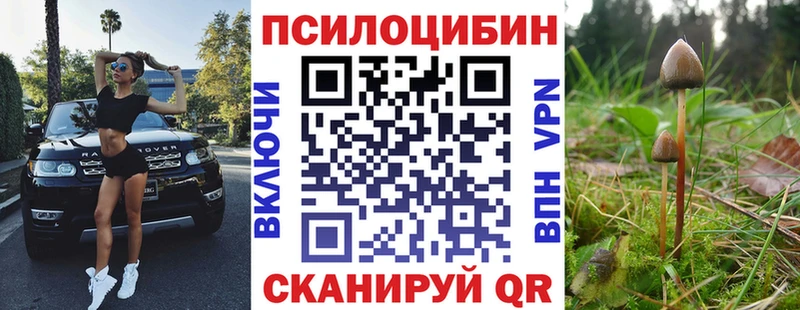Галлюциногенные грибы Psilocybine cubensis  Маркс 